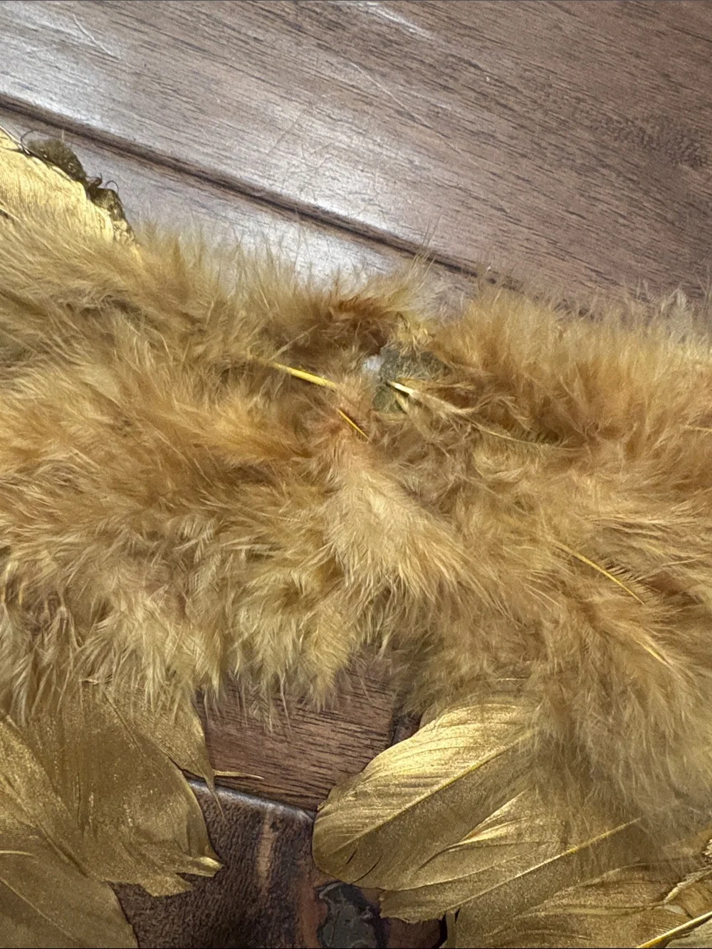 Gold Feather Angel Wings Movie Quality